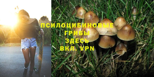 соль курить ск Балахна