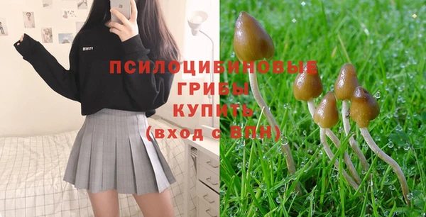 2c-b Балабаново