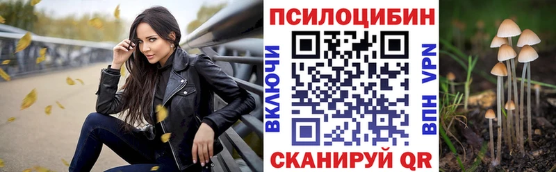 Галлюциногенные грибы Magic Shrooms как найти Северо-Курильск